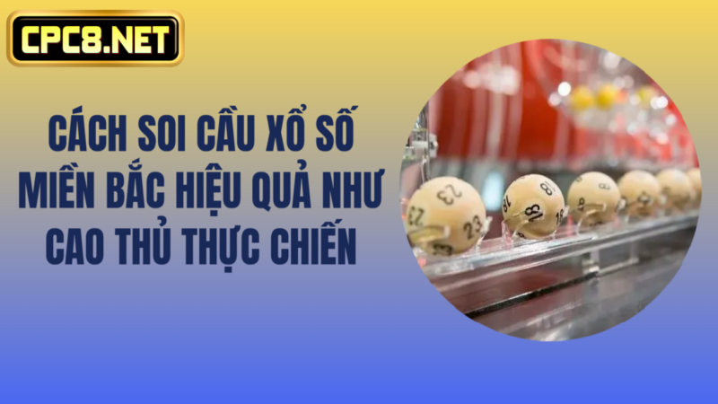Cách Soi Cầu Xổ Số Miền Bắc Hiệu Quả Như Cao Thủ Thực Chiến